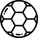 单欣辛
